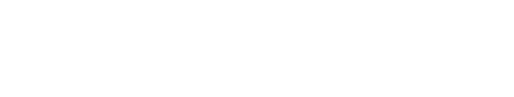 Parker Professional Driving School White Logo